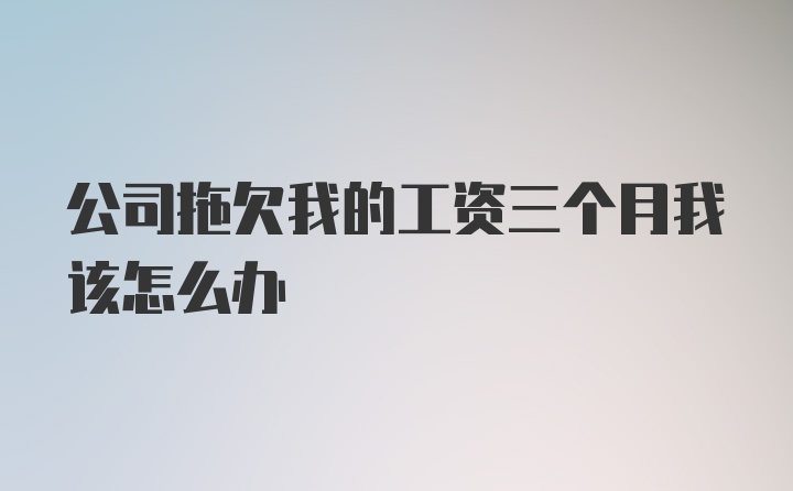 公司拖欠我的工资三个月我该怎么办