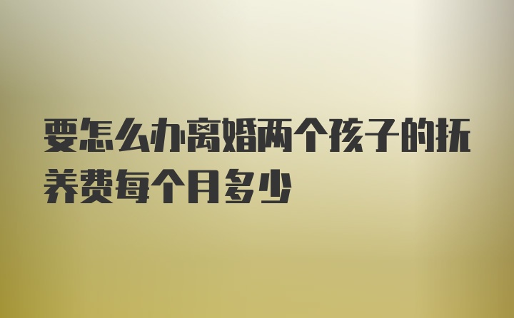 要怎么办离婚两个孩子的抚养费每个月多少