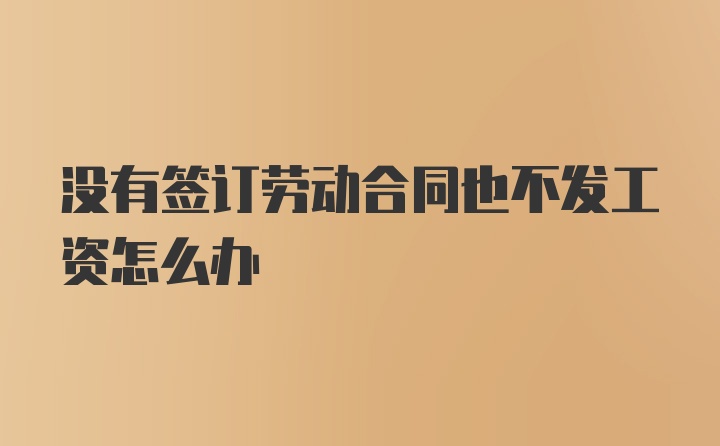 没有签订劳动合同也不发工资怎么办