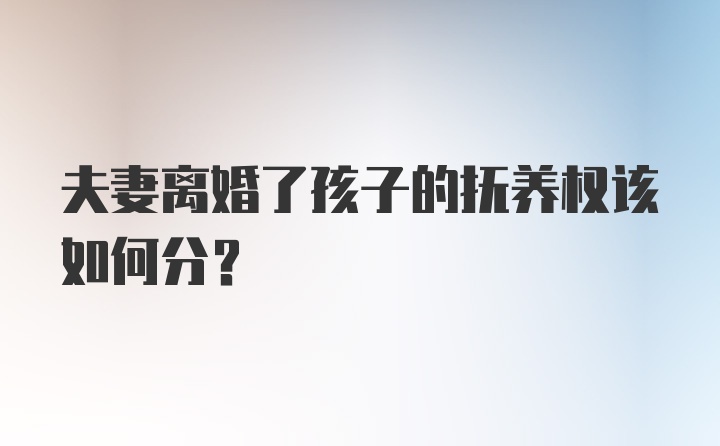 夫妻离婚了孩子的抚养权该如何分？