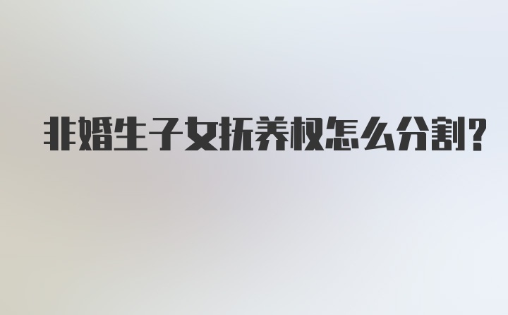 非婚生子女抚养权怎么分割？