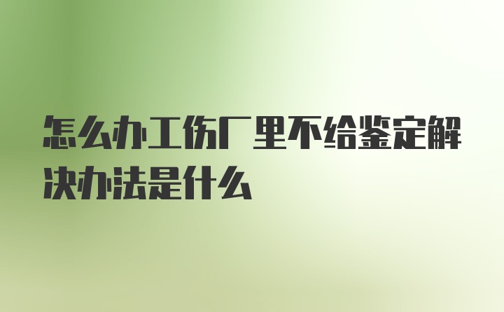 怎么办工伤厂里不给鉴定解决办法是什么