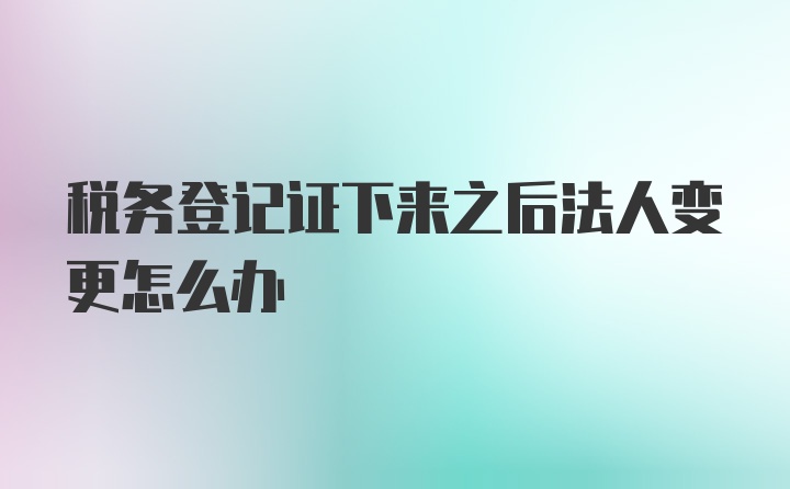 税务登记证下来之后法人变更怎么办