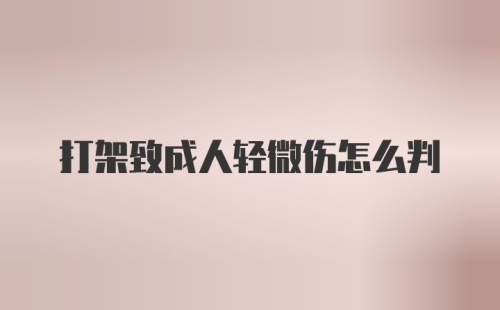 打架致成人轻微伤怎么判