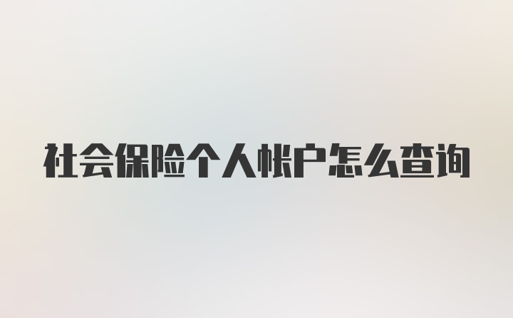 社会保险个人帐户怎么查询