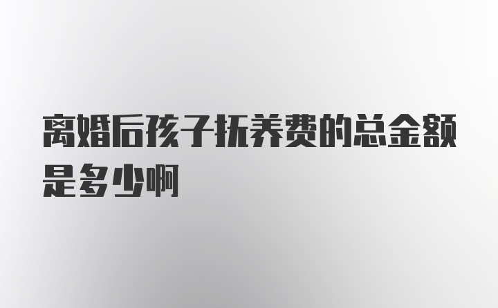 离婚后孩子抚养费的总金额是多少啊