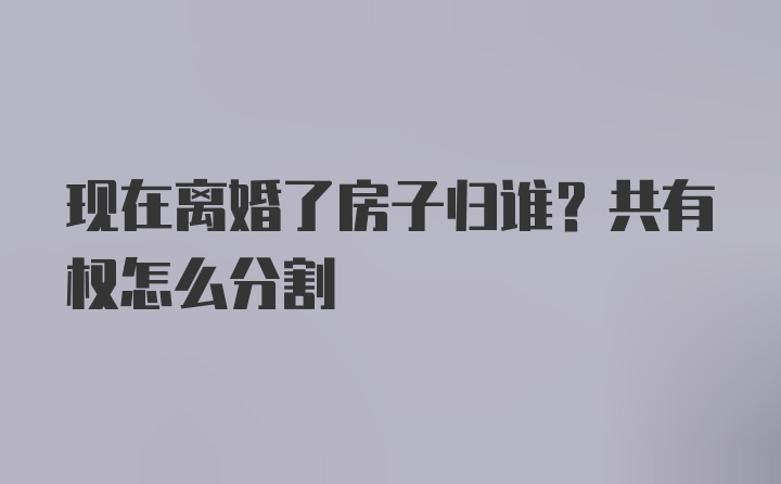 现在离婚了房子归谁？共有权怎么分割