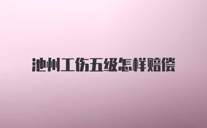 池州工伤五级怎样赔偿