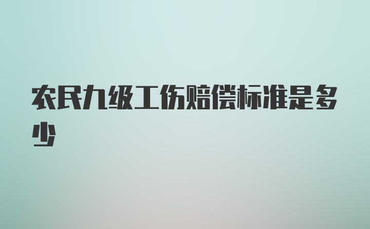 农民九级工伤赔偿标准是多少