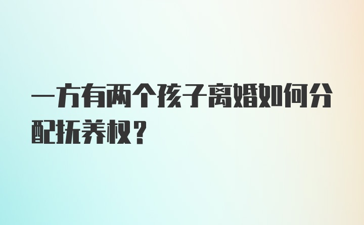 一方有两个孩子离婚如何分配抚养权?