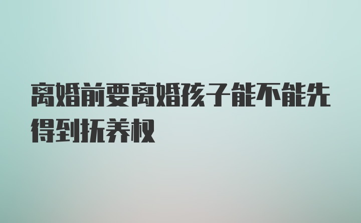 离婚前要离婚孩子能不能先得到抚养权