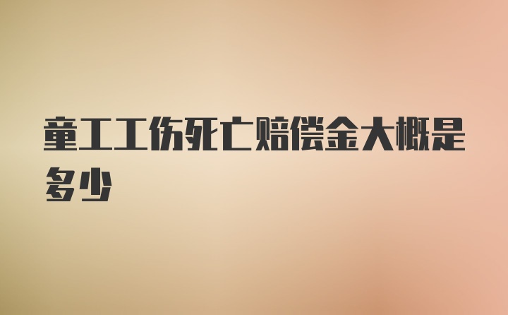 童工工伤死亡赔偿金大概是多少