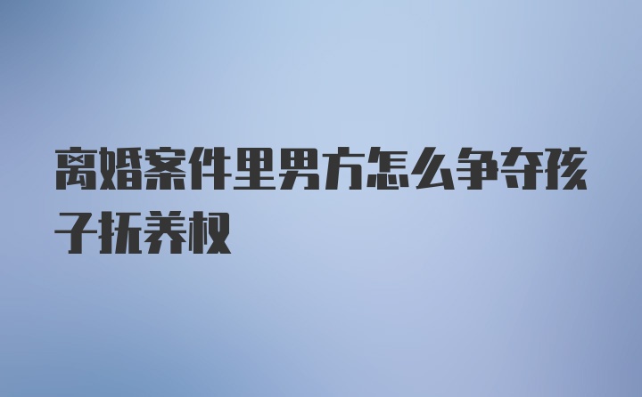 离婚案件里男方怎么争夺孩子抚养权