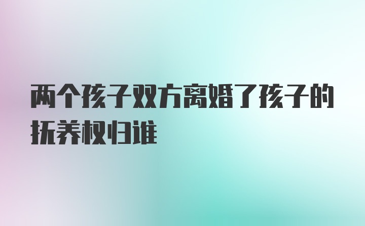 两个孩子双方离婚了孩子的抚养权归谁