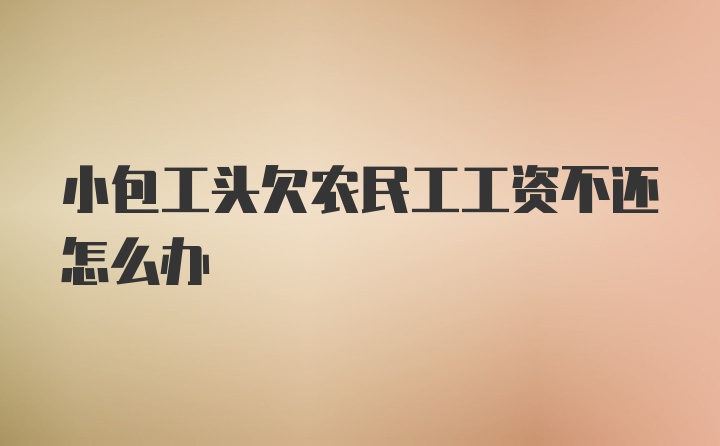 小包工头欠农民工工资不还怎么办