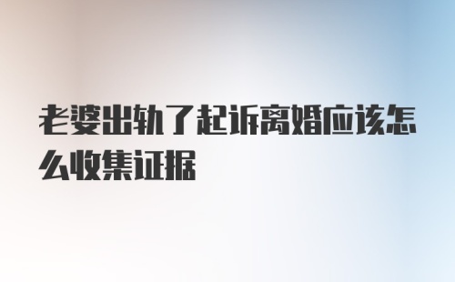 老婆出轨了起诉离婚应该怎么收集证据