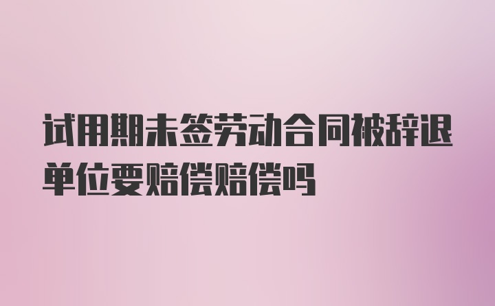 试用期未签劳动合同被辞退单位要赔偿赔偿吗