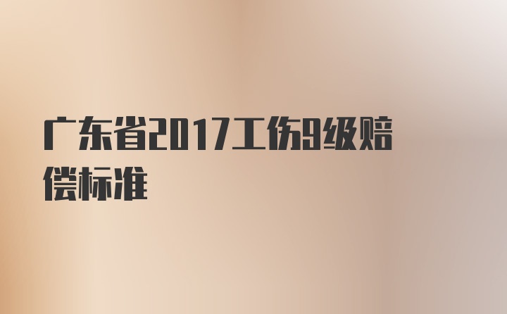 广东省2017工伤9级赔偿标准