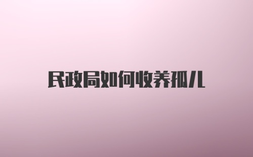 民政局如何收养孤儿