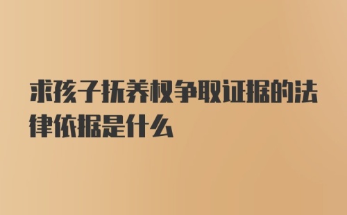 求孩子抚养权争取证据的法律依据是什么