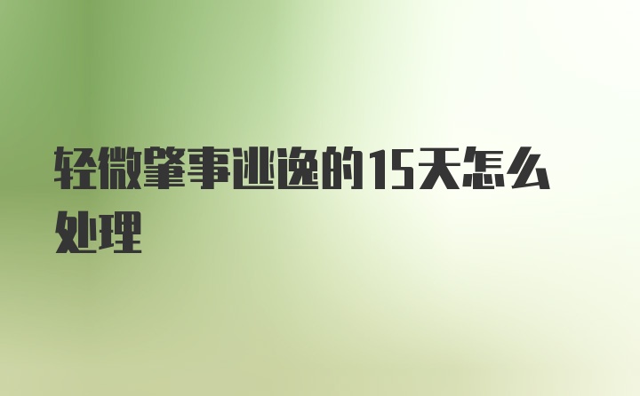 轻微肇事逃逸的15天怎么处理