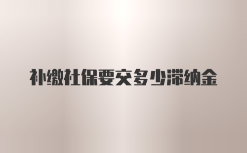 补缴社保要交多少滞纳金