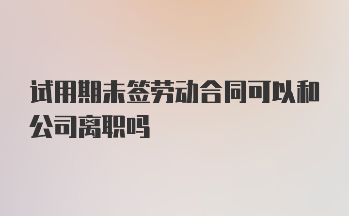 试用期未签劳动合同可以和公司离职吗