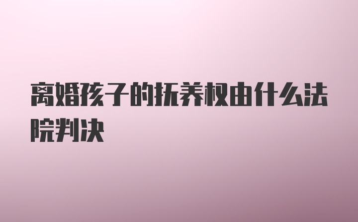 离婚孩子的抚养权由什么法院判决