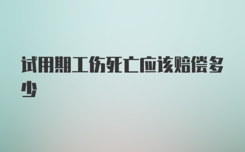 试用期工伤死亡应该赔偿多少