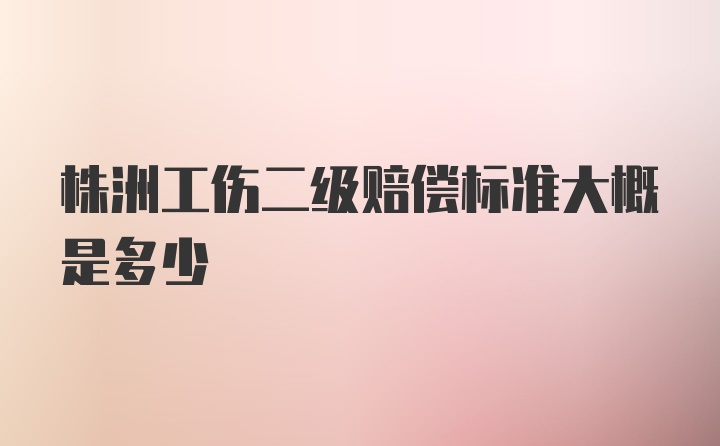 株洲工伤二级赔偿标准大概是多少