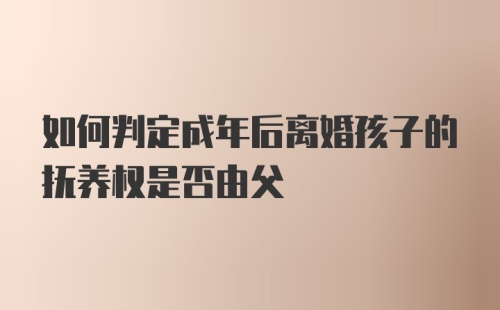 如何判定成年后离婚孩子的抚养权是否由父