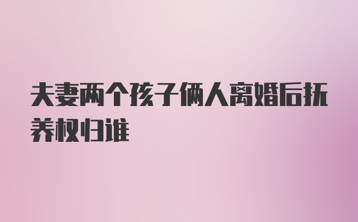 夫妻两个孩子俩人离婚后抚养权归谁