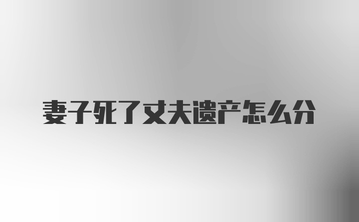 妻子死了丈夫遗产怎么分