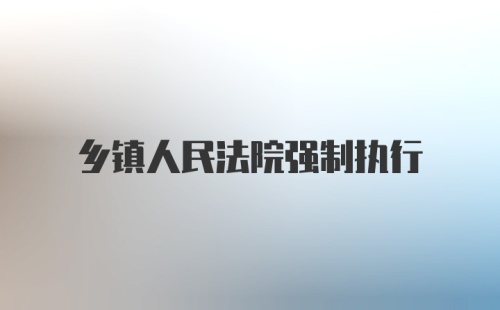 乡镇人民法院强制执行