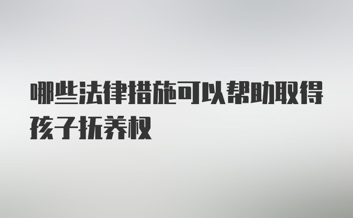 哪些法律措施可以帮助取得孩子抚养权