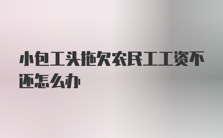 小包工头拖欠农民工工资不还怎么办