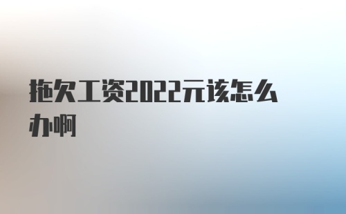 拖欠工资2022元该怎么办啊