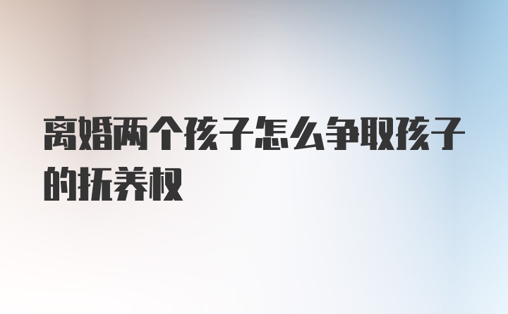 离婚两个孩子怎么争取孩子的抚养权