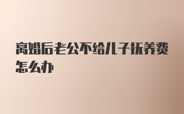 离婚后老公不给儿子抚养费怎么办