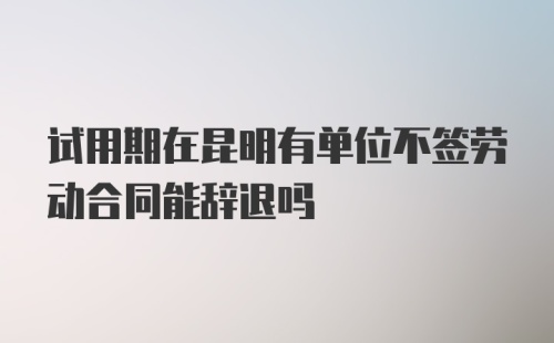 试用期在昆明有单位不签劳动合同能辞退吗