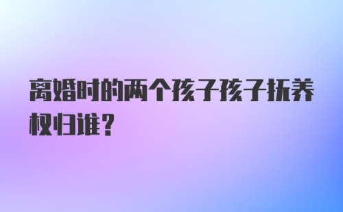 离婚时的两个孩子孩子抚养权归谁？