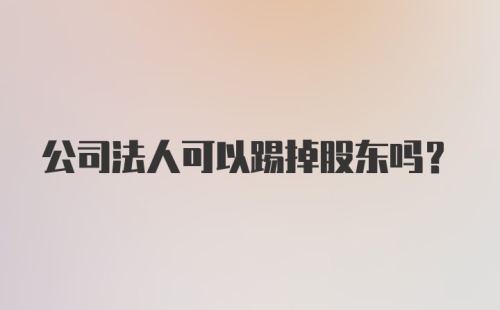 公司法人可以踢掉股东吗？