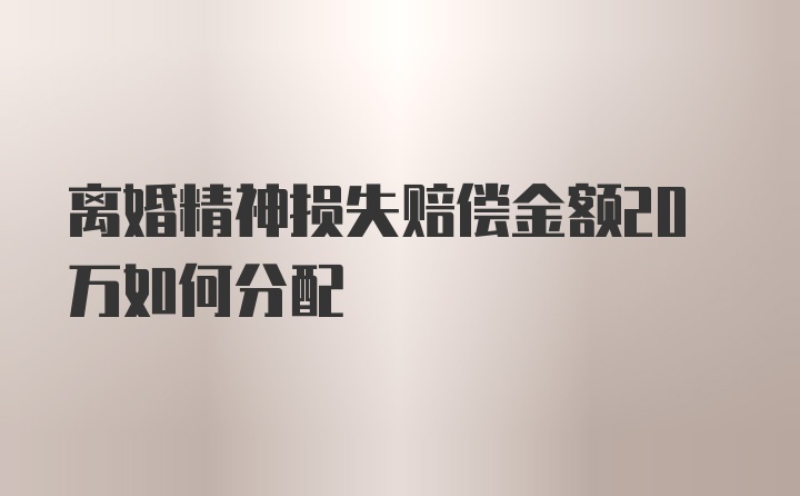 离婚精神损失赔偿金额20万如何分配