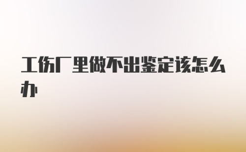 工伤厂里做不出鉴定该怎么办