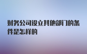 财务公司设立其他部门的条件是怎样的