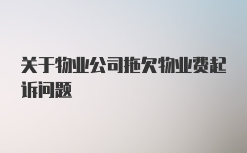 关于物业公司拖欠物业费起诉问题