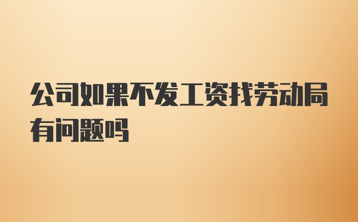 公司如果不发工资找劳动局有问题吗