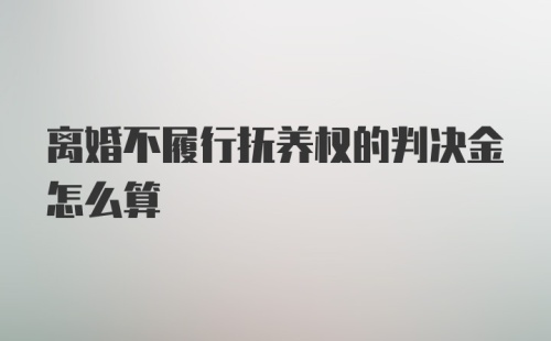 离婚不履行抚养权的判决金怎么算