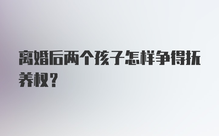 离婚后两个孩子怎样争得抚养权？