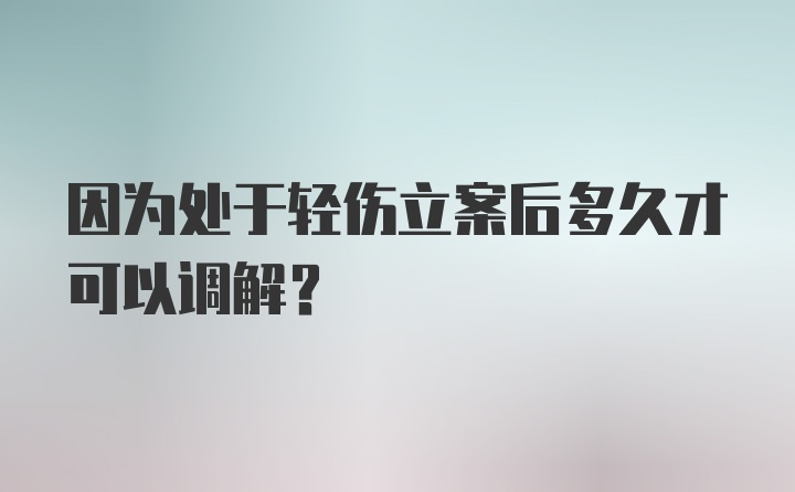 因为处于轻伤立案后多久才可以调解?